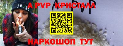 индика Камышлов