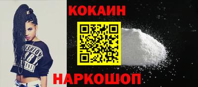 индика Камышлов