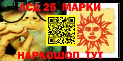 индика Камышлов