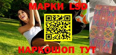 индика Камышлов