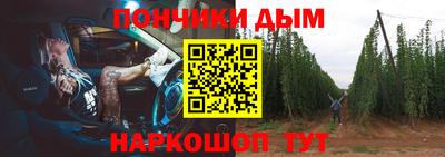 индика Камышлов