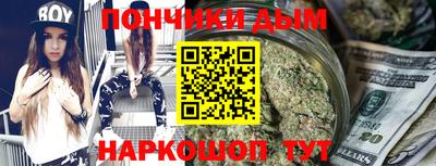 индика Камышлов