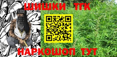 индика Камышлов