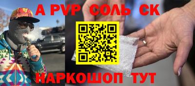 индика Камышлов