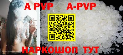 индика Камышлов