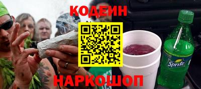 индика Камышлов