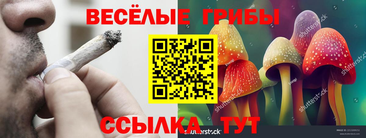 Галлюциногенные грибы MAGIC MUSHROOMS  Вход с VPN  Оренбург 
